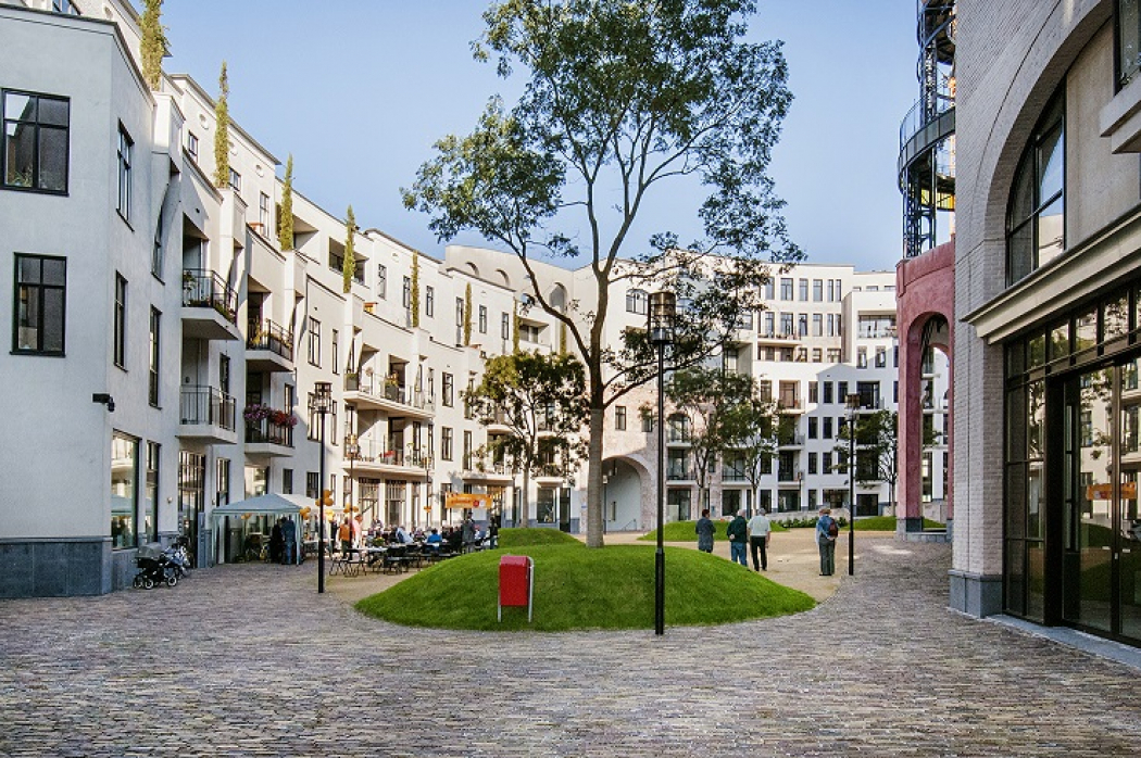 Heerlens’ stationsgebied Maankwartier heeft mooiste bomen