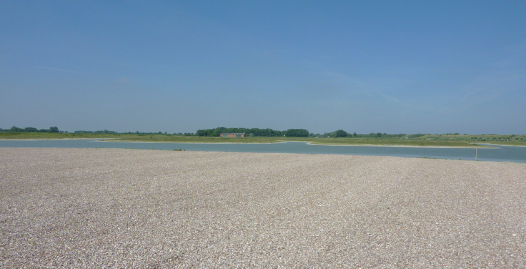 Nieuwe eilanden Waterdunen walhalla voor vogels