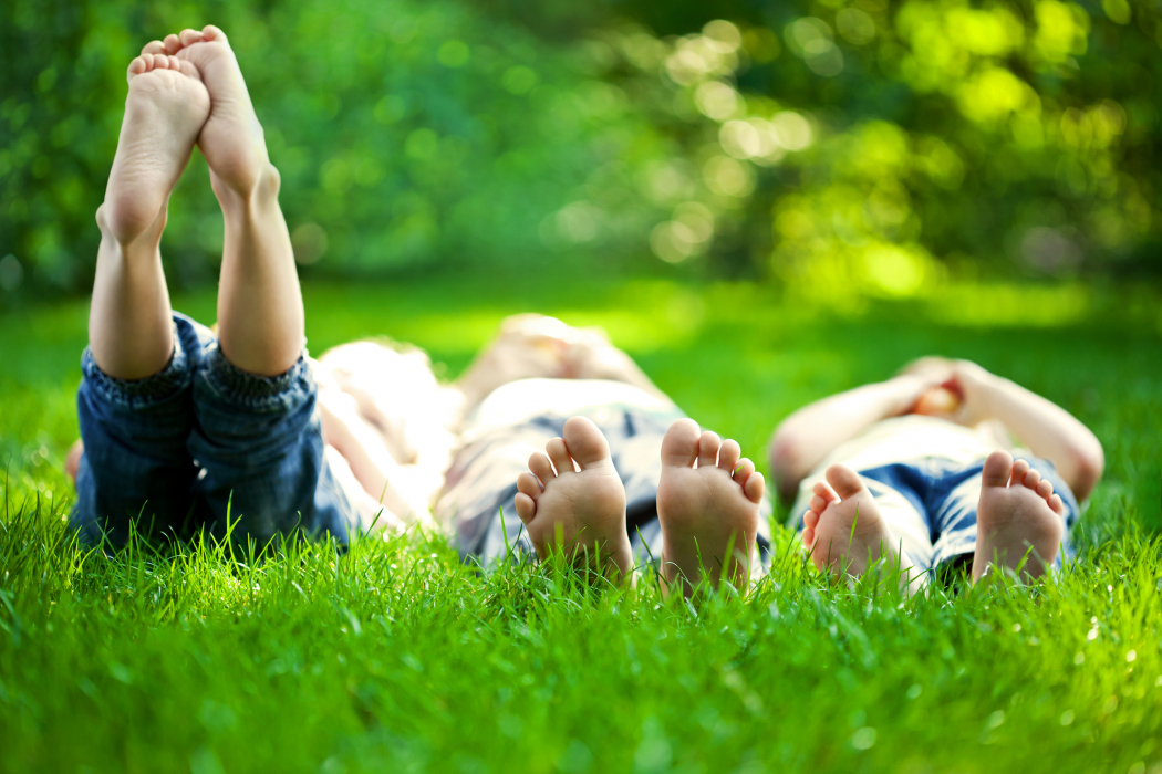 Onderzoek: hoger IQ bij kinderen uit groen gebied