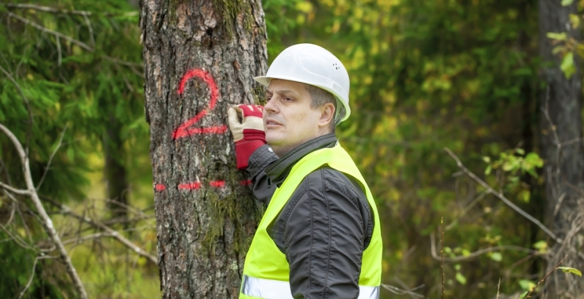 Boombeheer moet integraal en risicogericht gebeuren