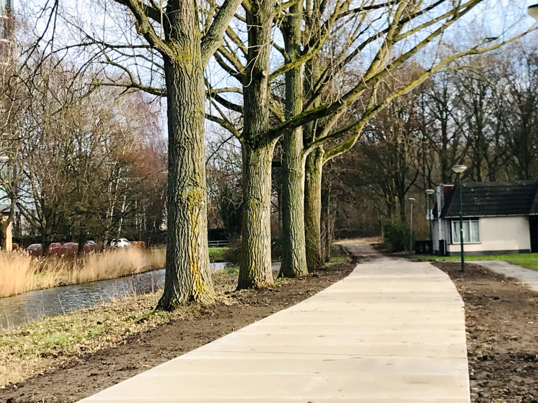 Boomwortels maken geen kans bij betonnen fietspad