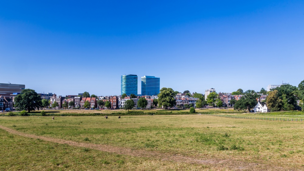 Arnhem verrijkt met duizend bomen