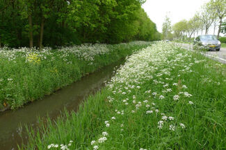 Webinar Ecologisch Beheer