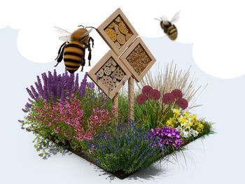urban bee garden