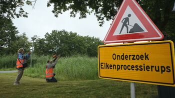 Bestrijding eikenprocessierups