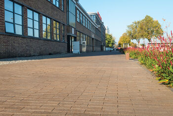 De loper op het parkeerterrein van de Gruyterfabriek Den Bosch kleurt langzaam roestbruin