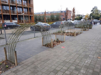 Schoolplein anno 2018: een balans van groen, spelen en sporten