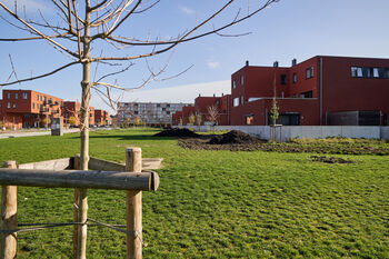 Derde buurtbos aangeplant in Belgische stad Leuven