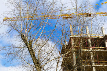 De BEA-methode beschermt bomen tijdens bouwwerkzaamheden