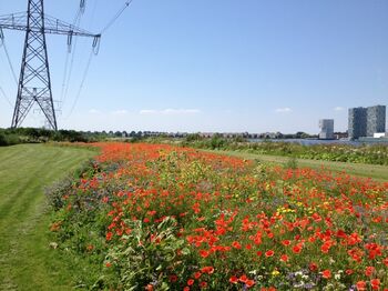 Bloemen- en bijenlint onder hoogspanning