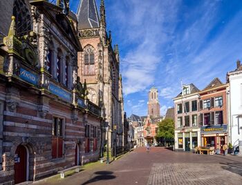 Zwolle in de ban van geveltuinen