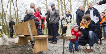 Bank van Haarlems hout in de Haarlemmerhout