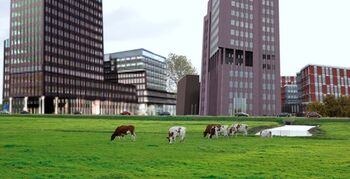 Brabantse bedrijventerreinen worden groener