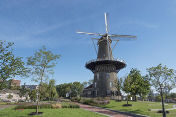 De sterren staan goed voor de groensector