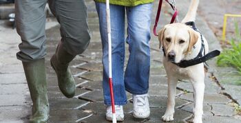 Geleidehonden en baas kwetsbaar door Shared Space