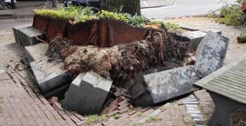 Gevaarlijke situaties stedelijke omgeving door omvallende bomen