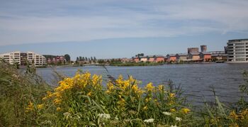 Zuidpolder wordt natuur- en recreatiegebied