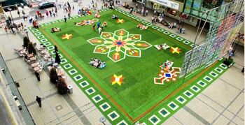 Flying Grass Carpet siert Rotterdamse openbare ruimte