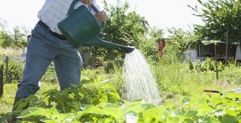 Pilotproject 'Groen ondernemen en Groen doen'