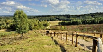 Informatie Utrechtse landschappen toegankelijker