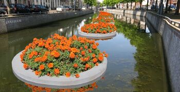 Drijvende tuinen in Kampense gracht Burgel