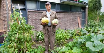 Stadslandbouw in Rotterdam: bottom-up, spontaan en aanstekelijk