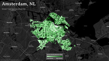 Onderzoek Diversitree toont zin van stedelijke boomdiversiteit
