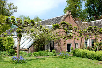 Uitgelichte sessie: De Levende Tuin