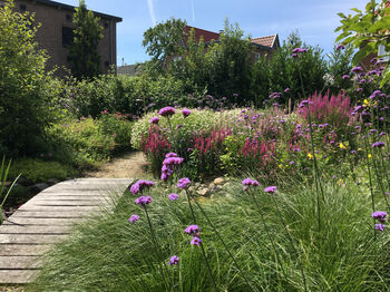 Hoe kwalitatief is mijn tuin?