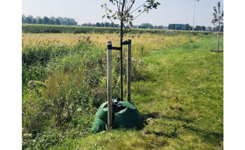 Handige instructiefilmpjes over bescherming van bomen