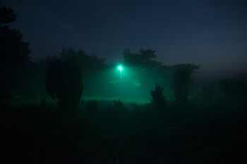 Licht op Landschap onderzoekt hoe dieren omgaan met lichtintensiteit