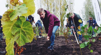 16 nieuwe Tiny Forests in Zuid-Holland