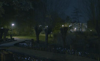 Planten reageren op beweging in Rotterdam