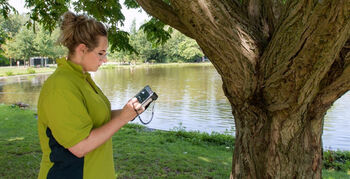 Boomcontroles Amsterdam zijn groen en duurzaam