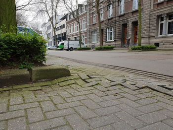 Onveilige situaties door bomen in verhardingen