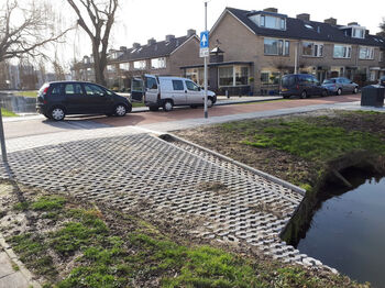 Plantage Maasland wapent zich met groen tegen hittestress