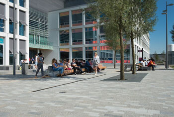 Street Art voor inspirerende straatbeelden in beton