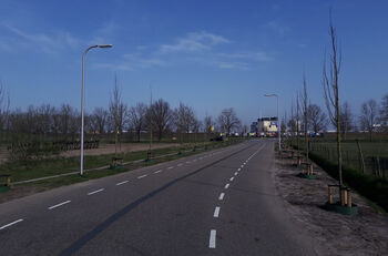 Gerooide essen krijgen tweede leven in Zwolle