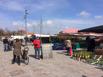 Weekmarkt  IJmuiden krijgt de ruimte