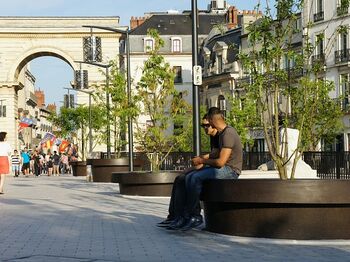 Bomen in Mega Bloempotten vergroenen centrum Dijon