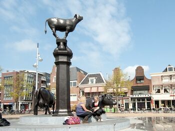 Van beestenmarkt naar functioneel plein