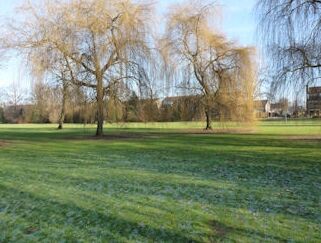 Bijzondere herinrichting Wentholtpark Lichtenvoorde