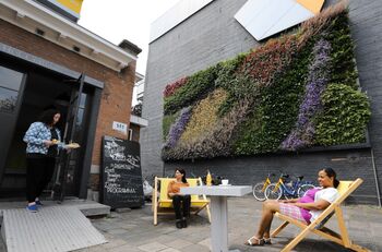 Verticale tuin Rotterdam in bloei