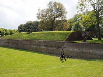 Monumentale bomen onderdeel Bossche Stadswalzone