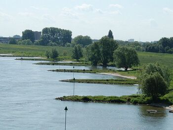 Uiterwaardenpark in Arnhem