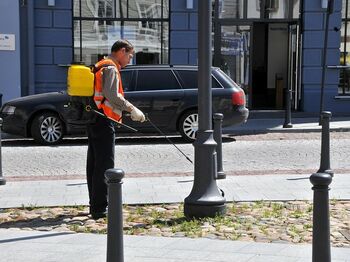 Zuiverende werking substraten onderzocht