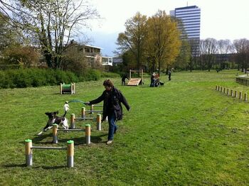 Eerste openbare hondentrimbaan in Utrecht