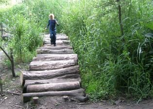 Leerlingen ontwerpen 'Cool Nature' Tiel