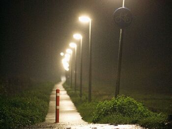 Fietsers bedienen dynamische verlichting