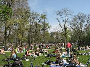 Amsterdamse parken overbelast